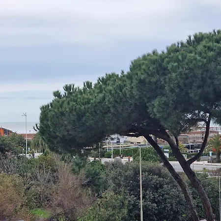 La Casa Del Sole A 50 M Dal Mare Apartamento Lido di Camaiore Exterior foto