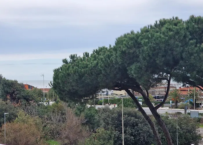 La Casa Del Sole A 50 M Dal Mare