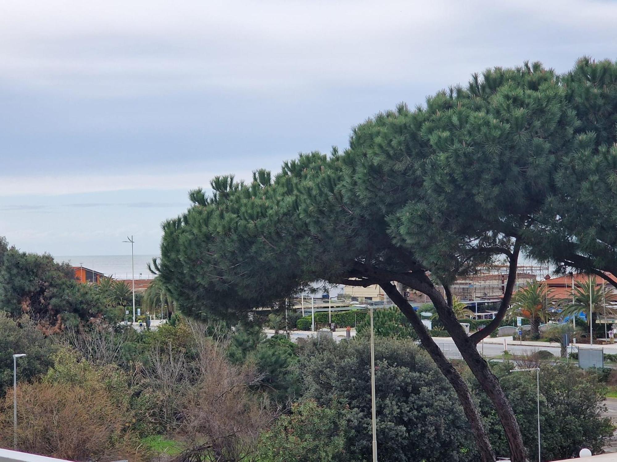 La Casa Del Sole A 50 M Dal Mare