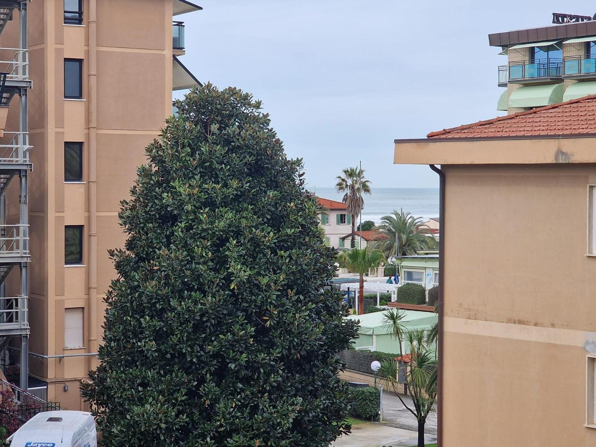 Apartment La Casa Del Sole A 50 M Dal Mare Lido di Camaiore