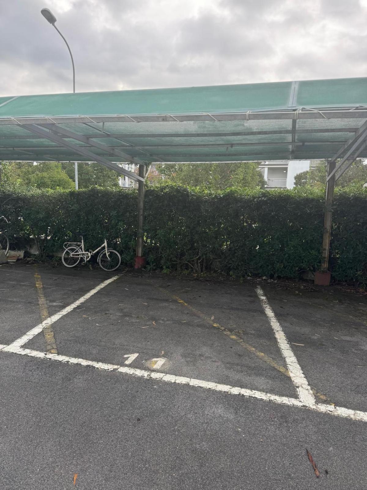 La Casa Del Sole A 50 M Dal Mare Lido di Camaiore